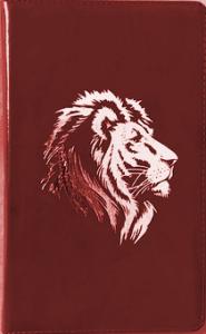 Библия каноническая 055zg (рец. кожа, бордо, золот.лев, на молнии, золотой обрез) I3 7118