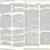 Новый Завет: на русском и корейском языках.Современный русский перевод