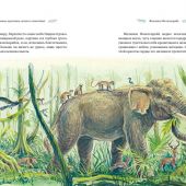 Энде М. Самые красивые сказки о животных