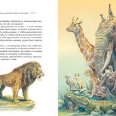 Энде М. Самые красивые сказки о животных
