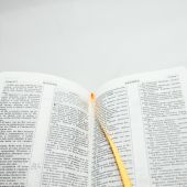 Библия каноническая 047 TI (черный кожаный переплет, золотой обрез, в коробке)