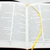 Библия с неканоническими книгами 047 DCZTI (вишневый, зол. обрез, кож. пер., указатели, на молнии)