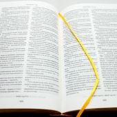 Библия с неканоническими книгами 047 DCZ (вишневая, золотой обрез, кожа)