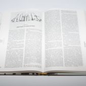 Библия каноническая 043 (иллюстр. пер., мост, ред. 2003 г. 120х165 мм)