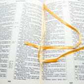 Библия каноническая 077 ТI (кож. переплет, золотой обрез, краевой указатель, коробка, вишневая)
