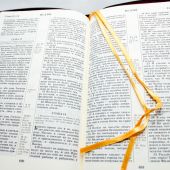 Библия каноническая 077 ZТIFIB (вишневая,кож., золотой обрез, краев. указ. молния, с фикс. кнопк)