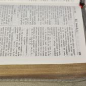 Библия Геце. ZL (св. бежевый, переплет из телячей кожи, выделка под «крокодил», на молнии, №3)