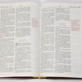 Новая учебная Библия Томпсона
