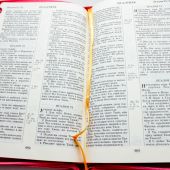 Библия каноническая 077 ZТIFIB (розовый кожаный пер., зол.обрез, краев. указ., молн. с фикс.кнопкой)