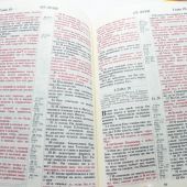 Библия каноническая 048 (Виссон) (бабочки, желтый-синий, на молнии, термо-винил)