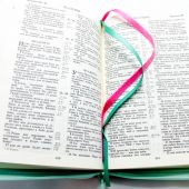 Библия каноническая 048 (Виссон) (дерево,розово-светло-бирюзовая, на молнии, термо-винил)