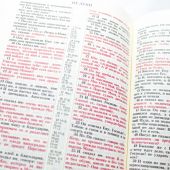 Библия каноническая 048 (Виссон) (дерево,розово-светло-бирюзовая, на молнии, термо-винил)