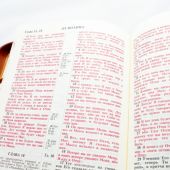 Библия каноническая 048 (Виссон) (цветы, бабочки,желтая-св. кор., молния, термо-винил, указ)