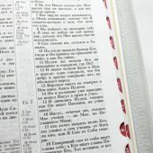 Библия каноническая 048 zti код 25.0 (Иктус-рыбка,молн.,индекс,винил, сер. метал. цв., сереб. обрез)