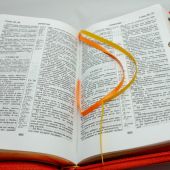 Библия каноническая 048 zti код 3.2 (орел,молн.,индекс,винил,цвет оранж., золот. обрез)