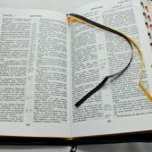 Библия каноническая 048 zti код 6.2 (крест,молн.,индекс,винил, черн. цв., золот. обрез)