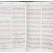 Библия с комментариями Джимми Сваггерта
