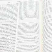 Библия на еврейском и современном русском языках 073 (бордо)