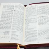 Библия на еврейском и современном русском языках 077Z (бордо, кожа, молния, фиксированная кнопка)