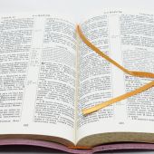 Библия каноническая 075 PNTI (розово-фиолетовый, искусств. кожа, золотой обрез, указатели)