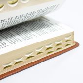 Библия каноническая 055 ti (светло-коричневый, верт. орнамент у корешка, золотой обрез, индексы)