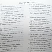 Библия в современном русском переводе 065 (2-е изд., перераб.и доп., экокожа, сине-коричн. переплет)