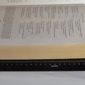 Библия в современном переводе под ред. М.П. Кулакова (цв. темно-зеленый, рециклированная кожа, зо)