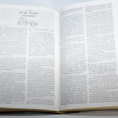 Библия каноническая 045 DT (120х165 мм, гибкий пер. из искусств. кожи, зол. обрез., ред. 2003 года)