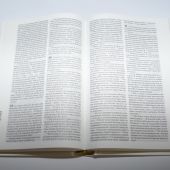 Библия каноническая 043 (иллюстр. пер., лилия, ред. 2003 г. 120х165 мм)