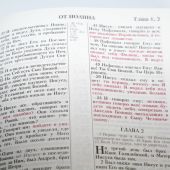 Библия каноническая (Виссон, древо жизни, зелен., термовинил, инд, зол. обр, V16-072-11)