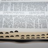 Библия каноническая 057 zti (черн, кож.переплет на молнии, золот. обрез, указат., закладка)