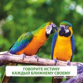 Календарь на 2017 год детский Забавные животные (Библейская лига Сибири)