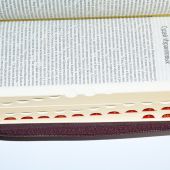 Библия в современном русском переводе. 047УZTI (бордовый кожаный переплет, золотой обрез, на молнии)