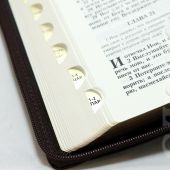 Библия каноническая 077 zti (темно-коричневый, орнамент по периметру, на молнии, золотой обрез)