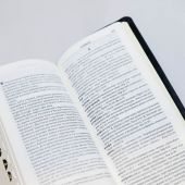 Библия каноническая 045 УTIDT (черный—светло-коричневый, экокожа, золотой обрез, указатели)