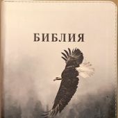 Библия каноническая 055zg (иск.кожа, фотопечать орёл, на молн, зол. обр) L1 7078