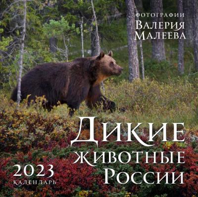 Календарь 2023. Дикие животные России. (настенный  фотографии Валерия Малеева)