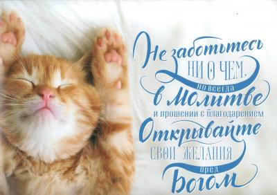 Постер 34*24 «Не заботьтесь ни о чем...» (котик)