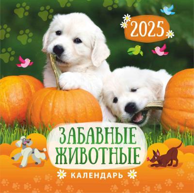 Календарь на 2025 год «Забавные животные» настенный, на скрепке