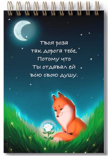 Блокнот А6 «Маленький принц: Лисенок. (Твоя роза)» (Ваката) 768