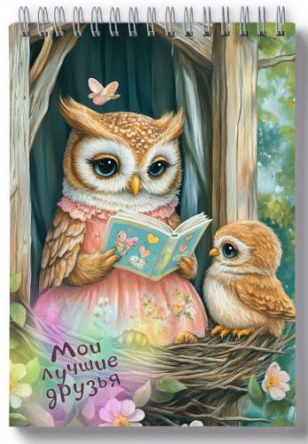 Блокнот 10Х14 см «Мои лучшие друзья», совы, глянец (Ваката) 1017