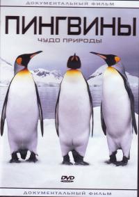 Пингвины. Чудо природы. ДВД