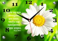 Часы «Научи нас так исчислять дни наши... Ромашка» (25*35 см., стекло)