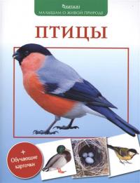 Вишневский В.А. Птицы (обучающие карточки)