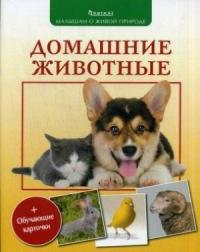 Волцит П.М. Домашние животные (обучающие карточки)