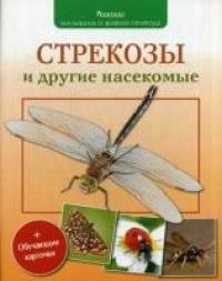 Волцит П.М. Стрекозы и другие насекомые (обучающие карточки)