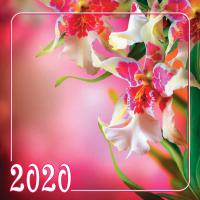Календарь на 2020 год женский «Цветы» (Библейская лига)