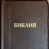 Библия каноническая 048ztig B12 (коричневая пятн. нат. кожа, зол. обрез, кр. указатели, на молнии)