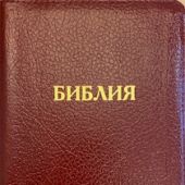 Библия каноническая 048ztig B6 (бордо глянц, нат. кожа, зол. обрез, кр. указатели, на молнии)