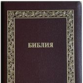 Библия каноническая 076z (кожа, корич. пятнистый, золотая рамка, на молн, зол. обр) B2